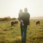 Family, farm and cattle with a girl and father walking on a field or grass meadow in the agricultural industry. Agriculture, sustainability and farming with a man farmer and daughter tending the cows.